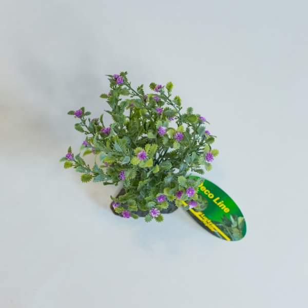 Preview: Lucky Reptile Trockenbusch